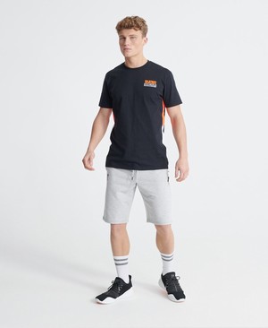 Superdry Training Flex Férfi Rövidnadrág Világos Szürke | XGARQ7590